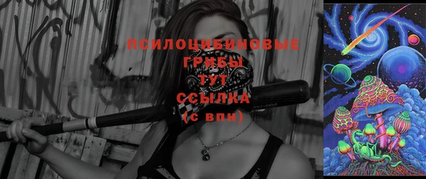 герыч Няндома